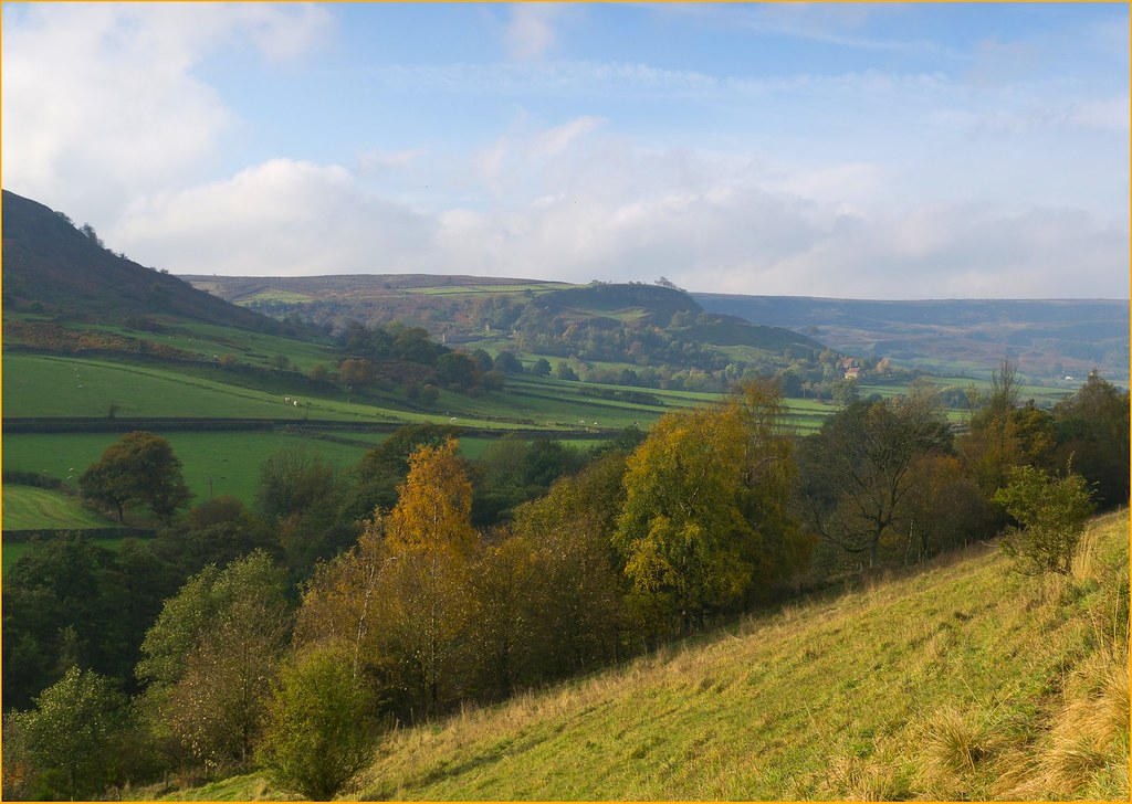 Autumn in Looking North West towards Hector Flickr