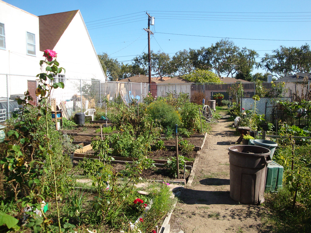 Culver City Community Garden (3) Culver City Community Gar… Flickr