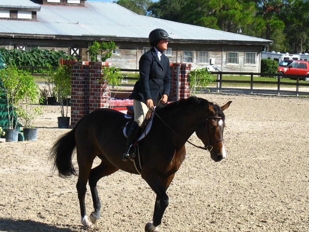 Fox Lea Farm Horse Show, Venice, Florida 11.6.2011 Flickr