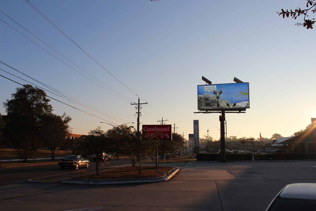 Baton Rouge Billboard Art Project Claire Accardo (198) Flickr