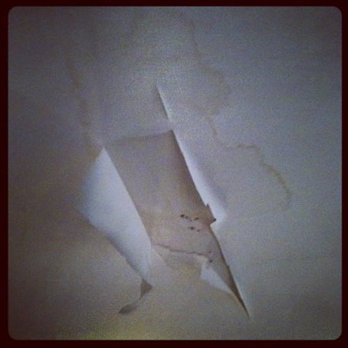 Living room ceiling water leak ( Steve Parker Flickr