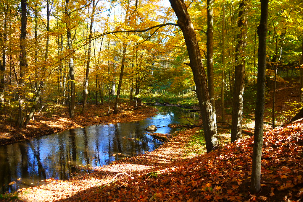 .autumn is everywhere. Townsend Park in Rockford, Michigan… Flickr