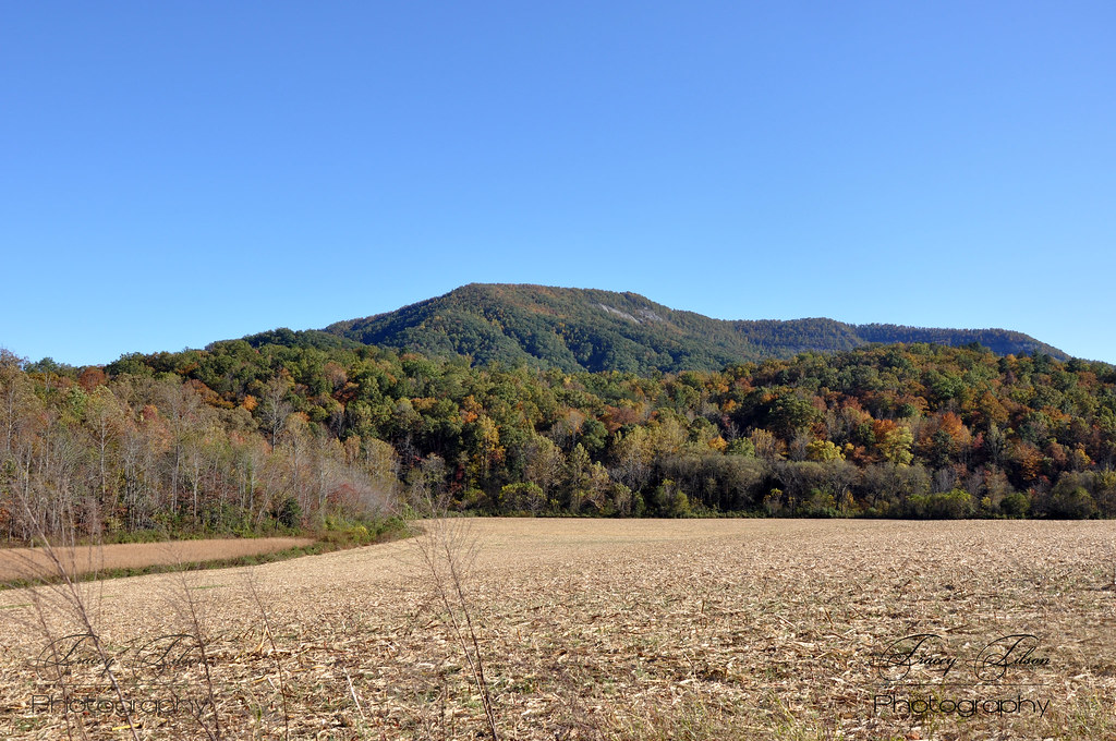 Hickory Nut Mountain I love where I live. The mountains of… Flickr