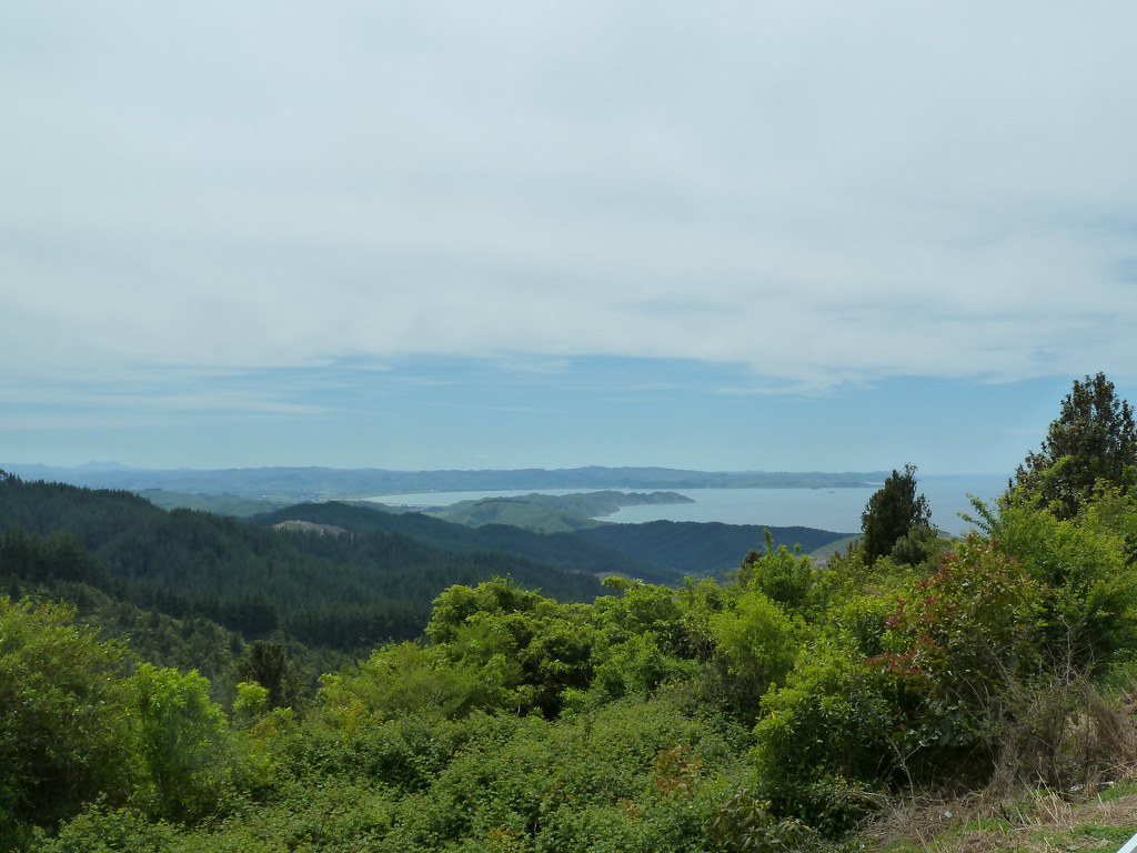 P1000775 Poverty Bay viewed from Wharerata Hill Dave Flickr