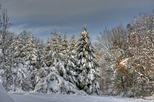 Snowtober Garden The morning after the night before! I tooâ€¦ Flickr