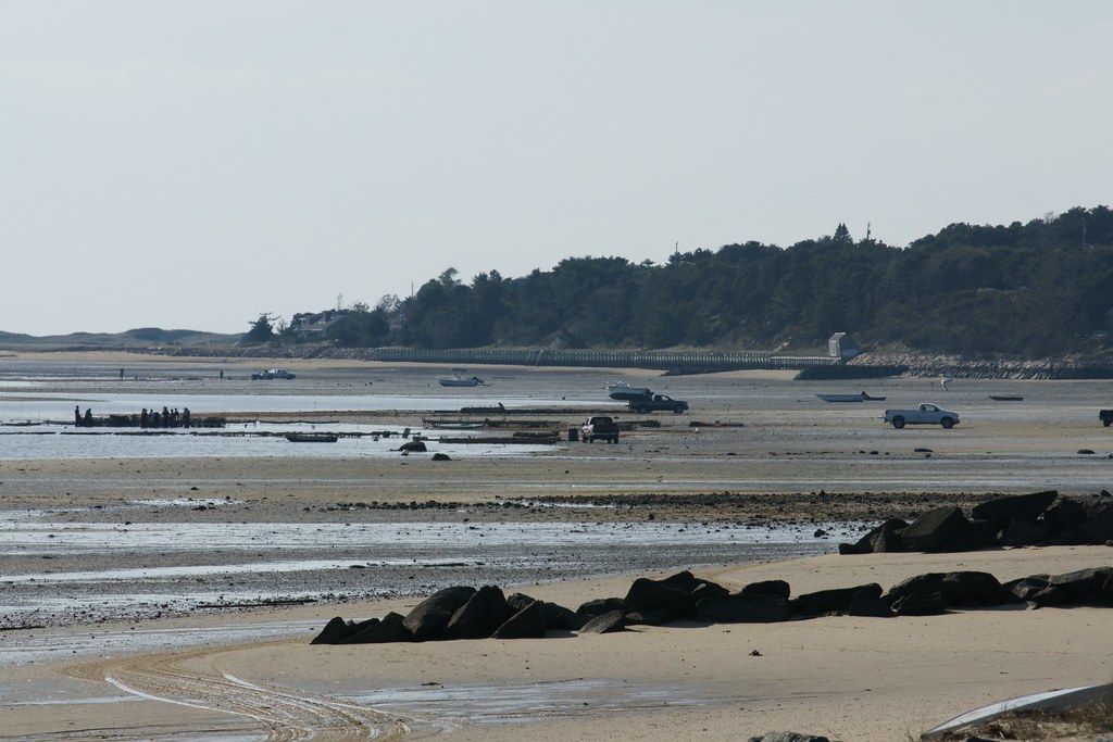 Wellfleet at low tide Joe Lewit Flickr