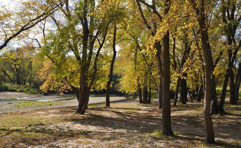 along the Little Sioux R., near Linn Grove, Iowa Dave Parratt Flickr