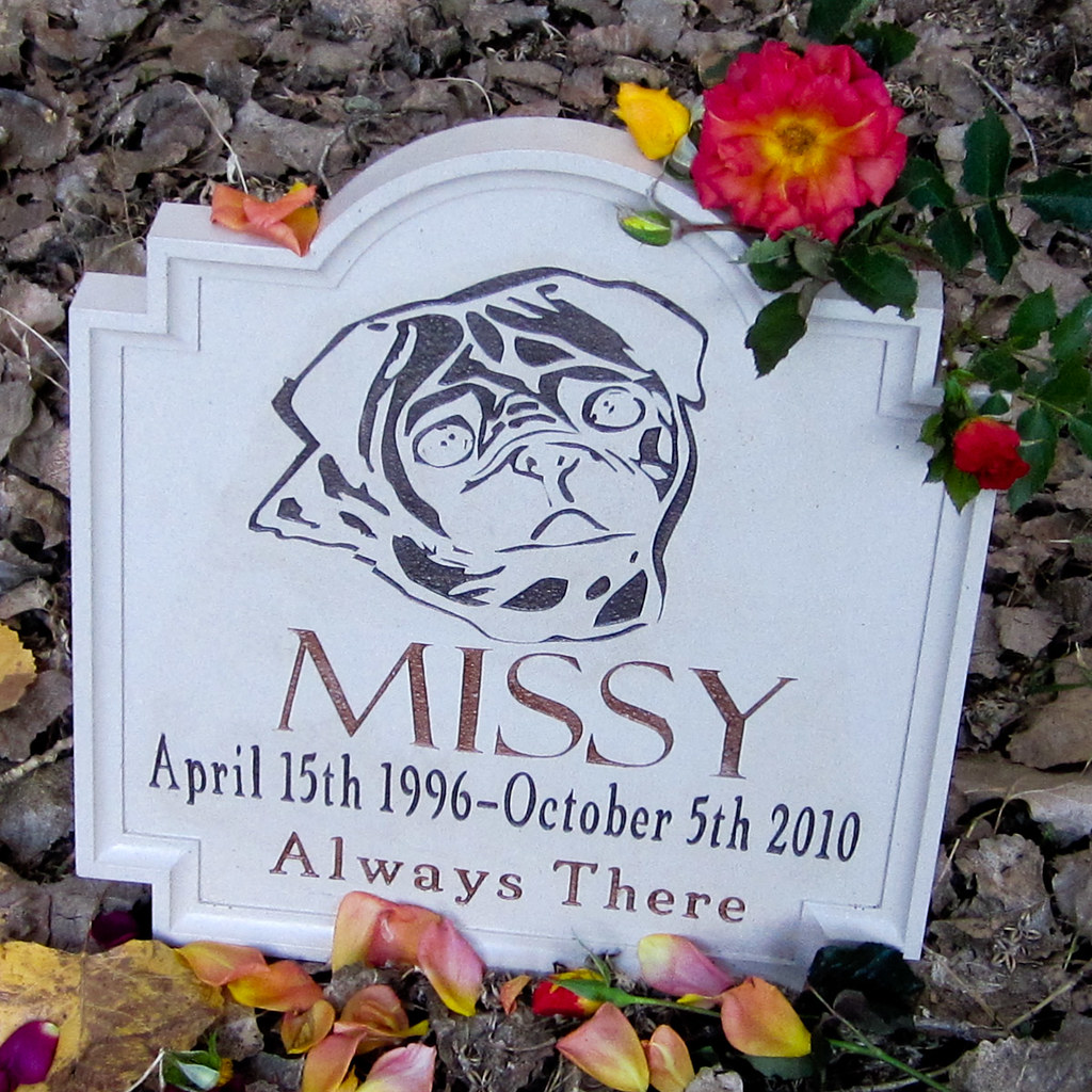 Stirling StoneWorks of Utah New Work Vicon Eco Systems Global Construction Tomorrow's Nano