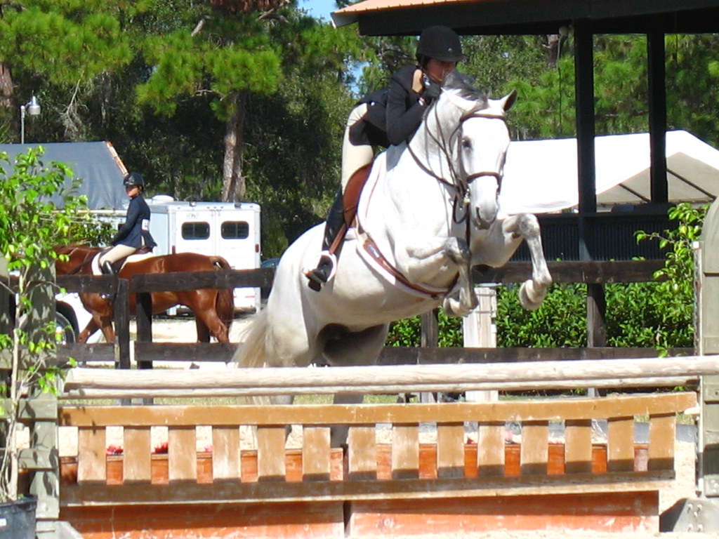 Fox Lea Farm Horse Show, Venice, Florida 11.6.2011 Flickr