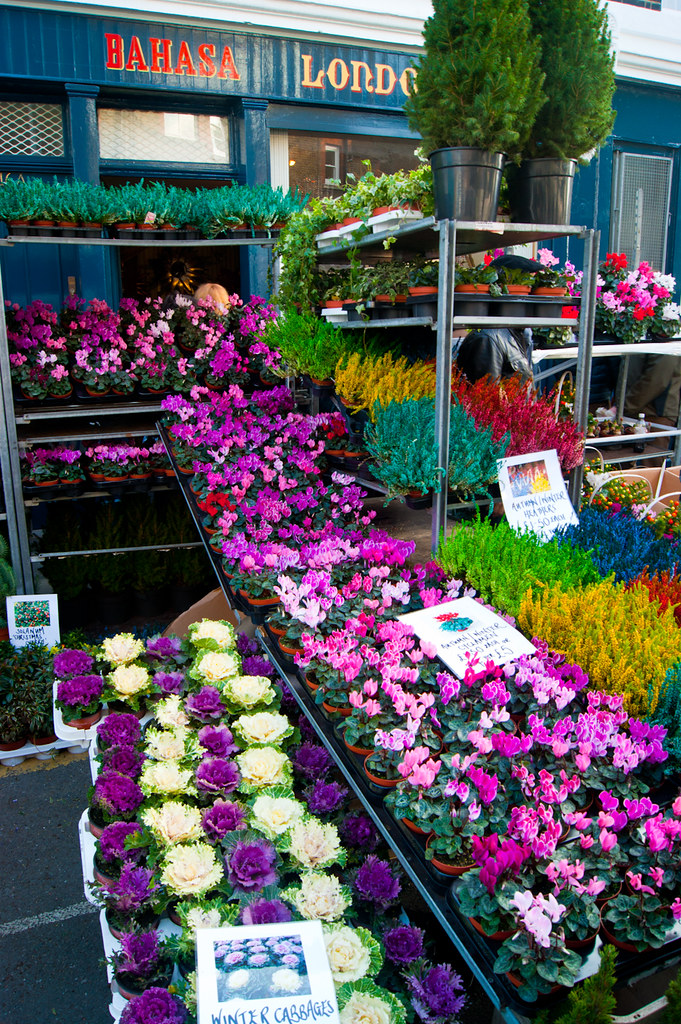 Columbia Road Flower Market Mercado de las flores en Hackn… Flickr