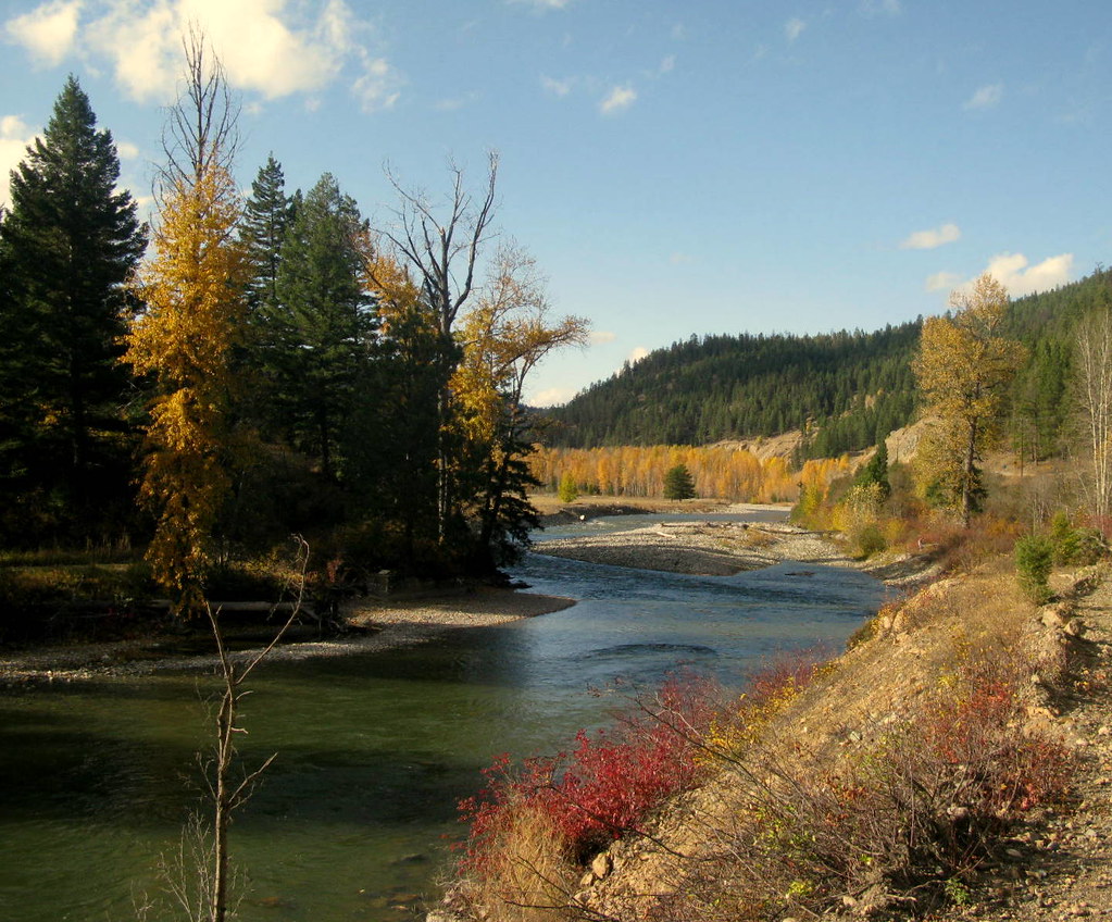 LOOKING UPRIVER TOWARDS THE TOWN OF COALMONT, BC. THE TULA… Flickr