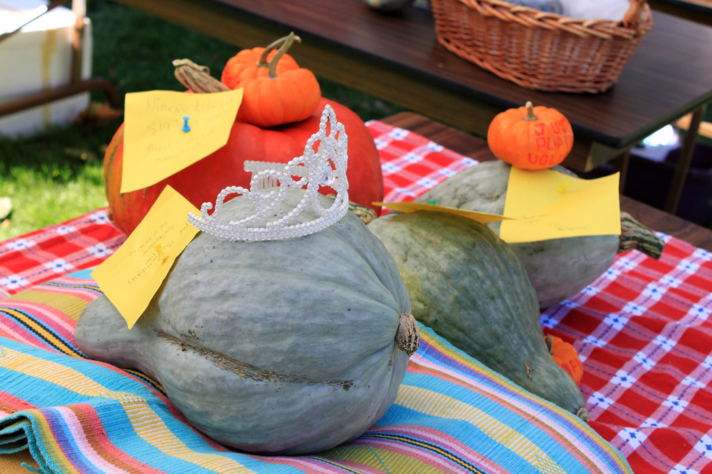 Salamander Festival in Belfountain, 2011 Salamander Festiv… Flickr