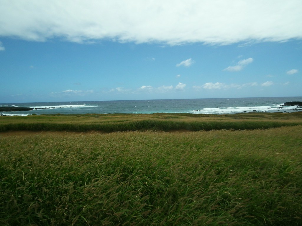 Hawaii Big Island Kona Hilo 512 South point on the Big Isl… Flickr