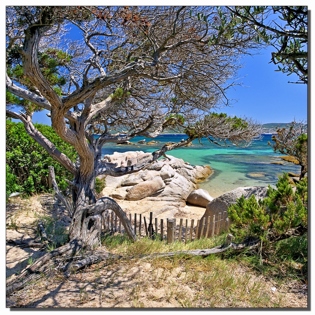 Baie de Figari, San Ghjuvanni Corsica Pentax Kr, vertor… Flickr