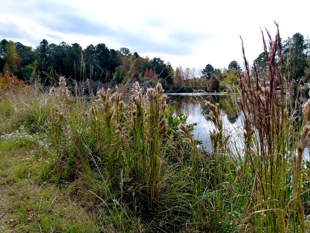 Melody Lakes, Waverly Hall, NGIDn645035120 Flickr