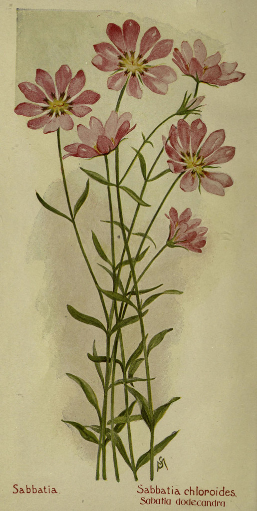 n7_w1150 Field book of American wild flowers New York,Putn… Flickr