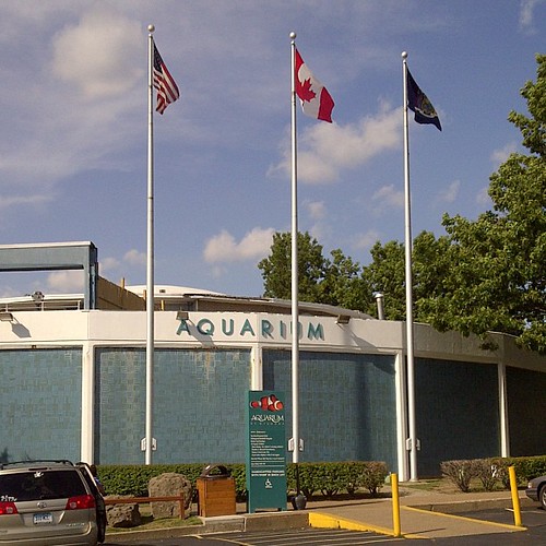 Aquarium Buffalo, NY Tjandra Sujatmiko Hadikusumo Flickr