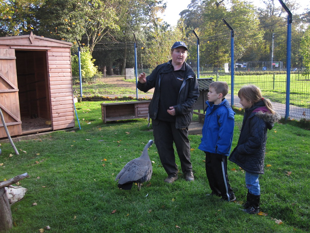 In the Aviary,Park Pet Tour, Stewart Park, Middlesbrough Flickr