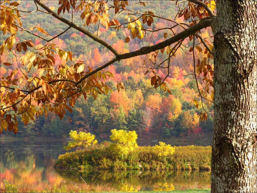 Quaker Lake No cropping or processing. Quaker Lake Alleg… Flickr