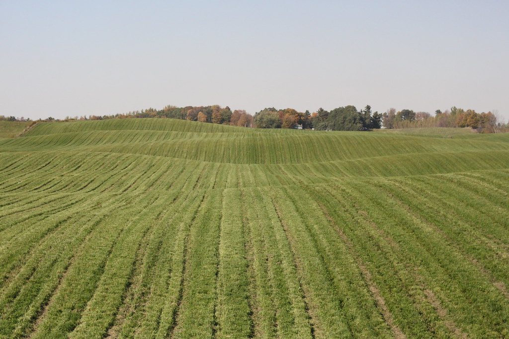 Rolling Hills Port Perry. Kevin Flickr