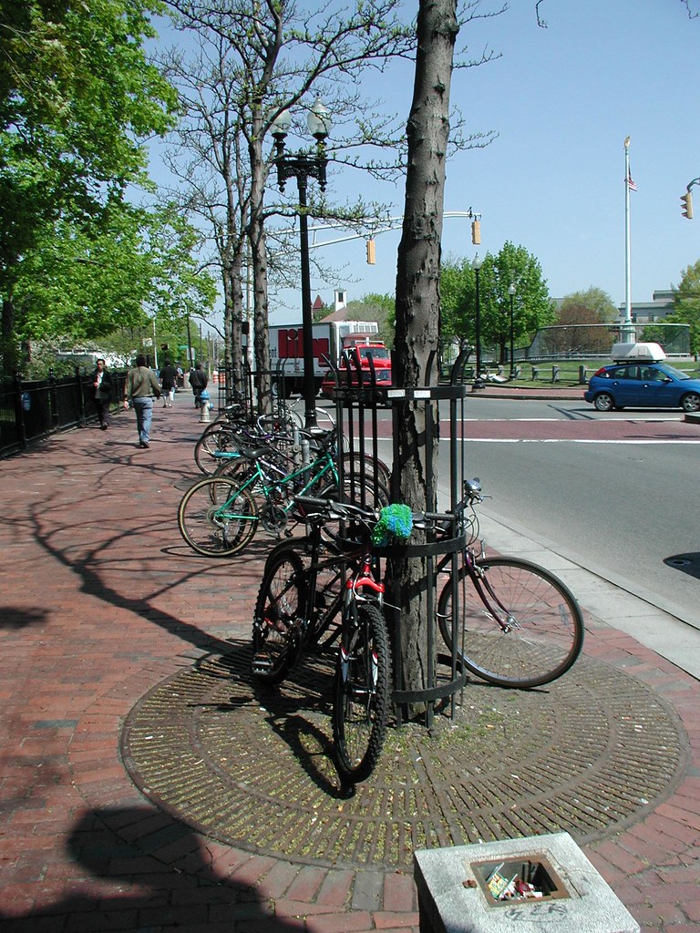 Cambridge, Massachusetts Bikes parked around trees Flickr