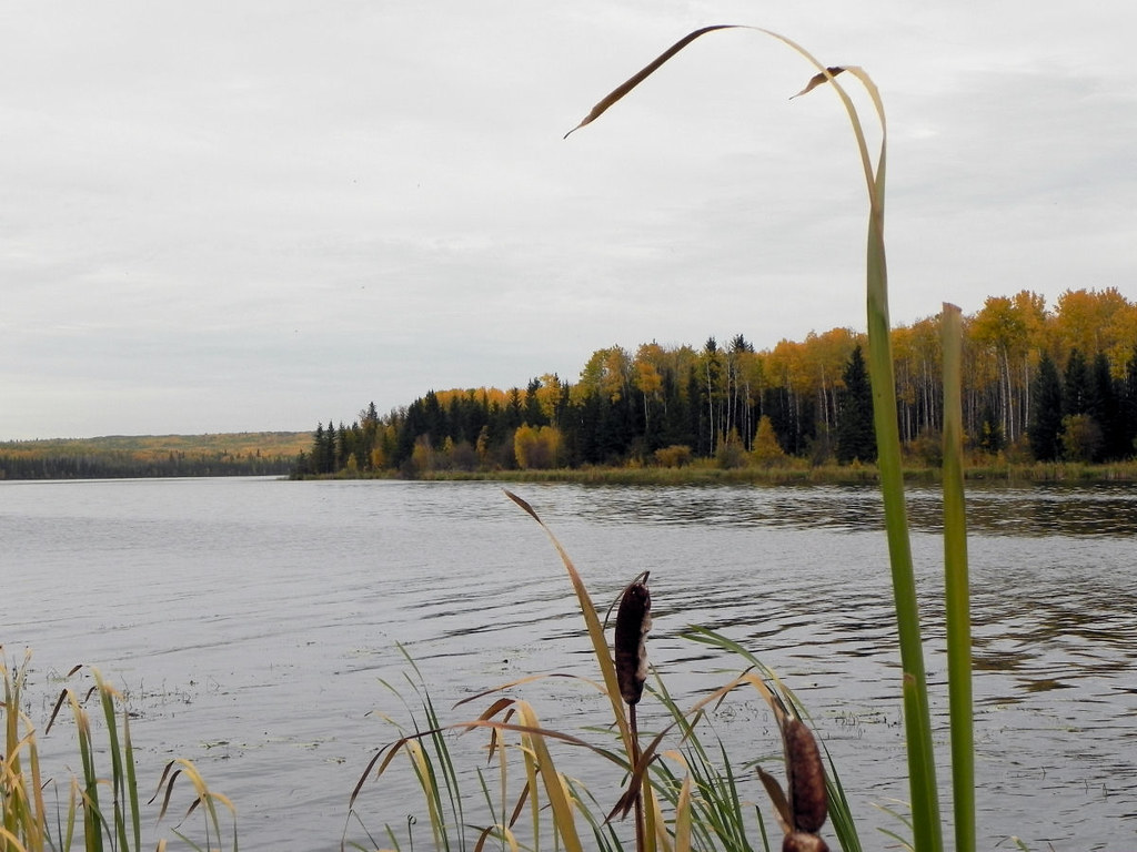 Long Lake, AB a photo on Flickriver