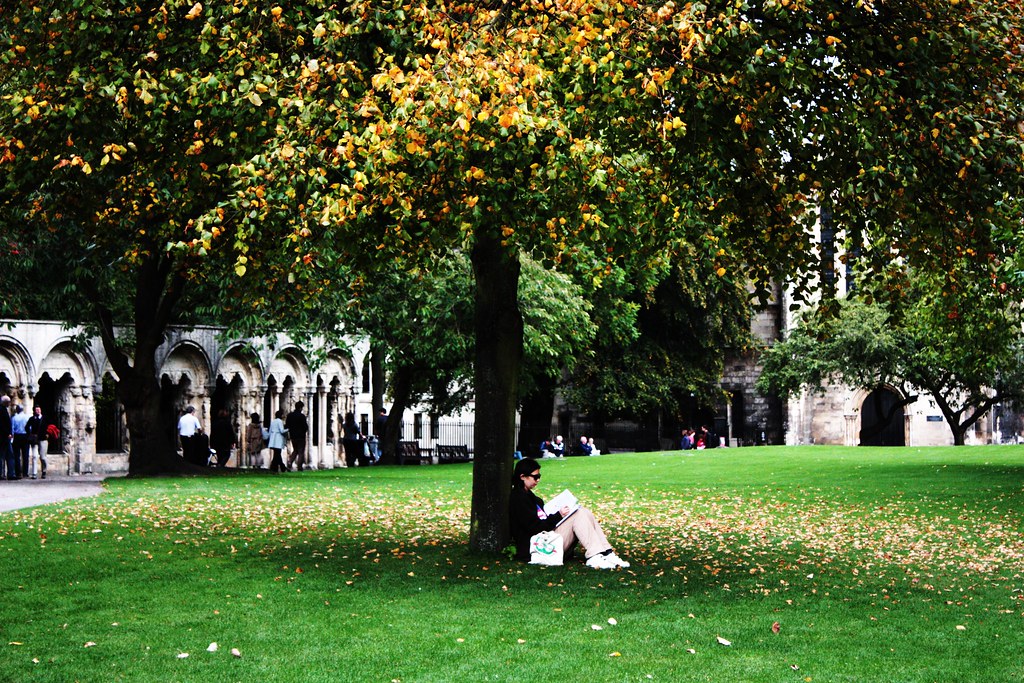 IMG_0062 Ana Maria Ardelean Flickr