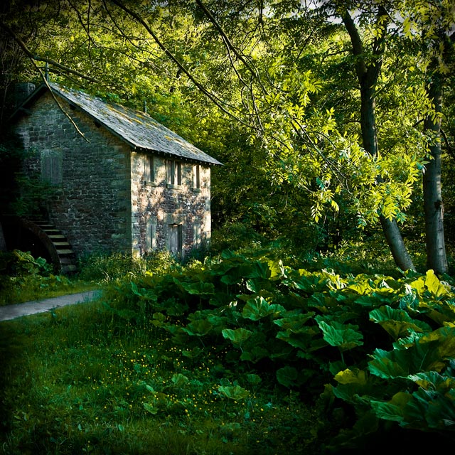 THE OLD MILL IN THE WOODS Near Ashford in the Water