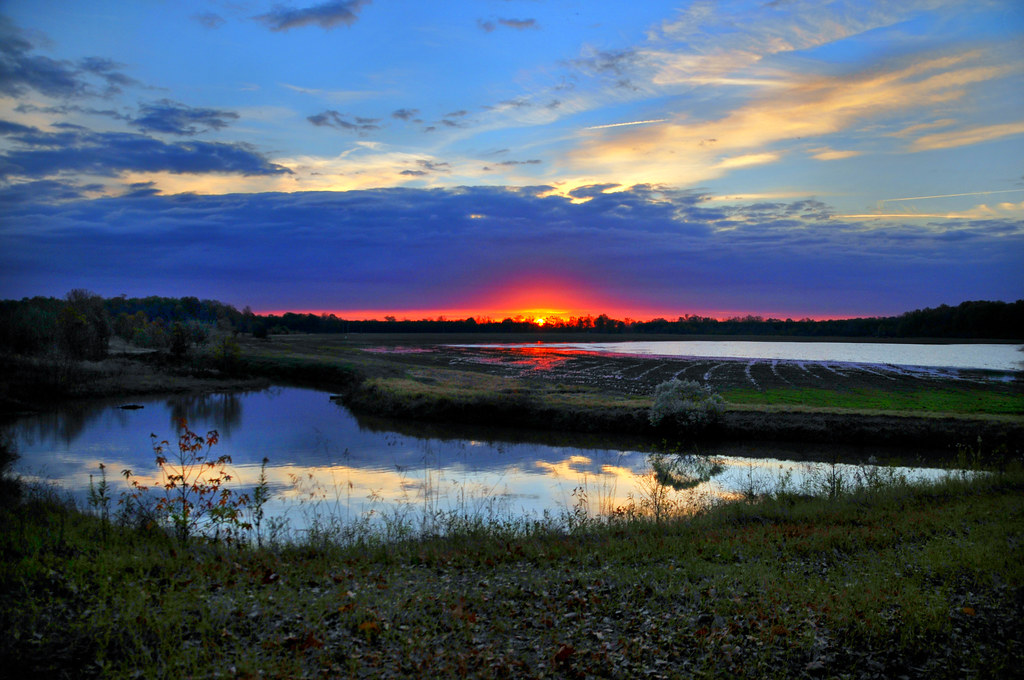 Sunrise at the Deer Camp A Beautiful Arkansas Sunrise at t… Flickr