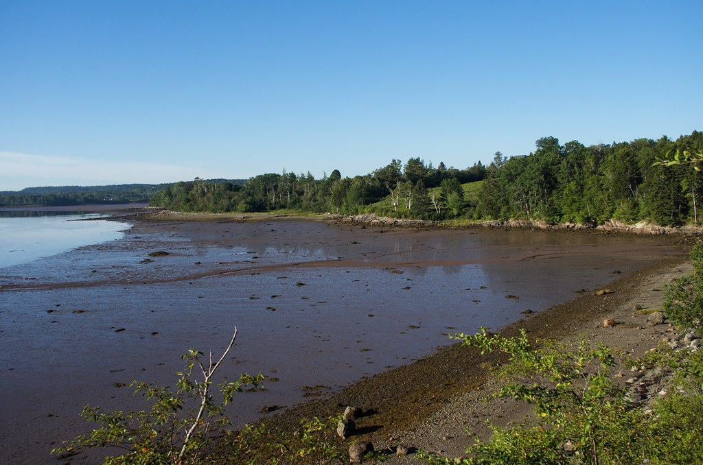 Low tide, Machias River berelaxed Flickr