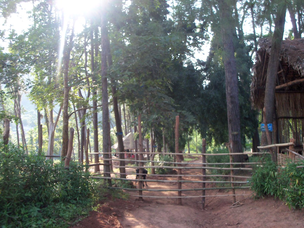 maredumilli maredumilli forest india travel india tourist places indian