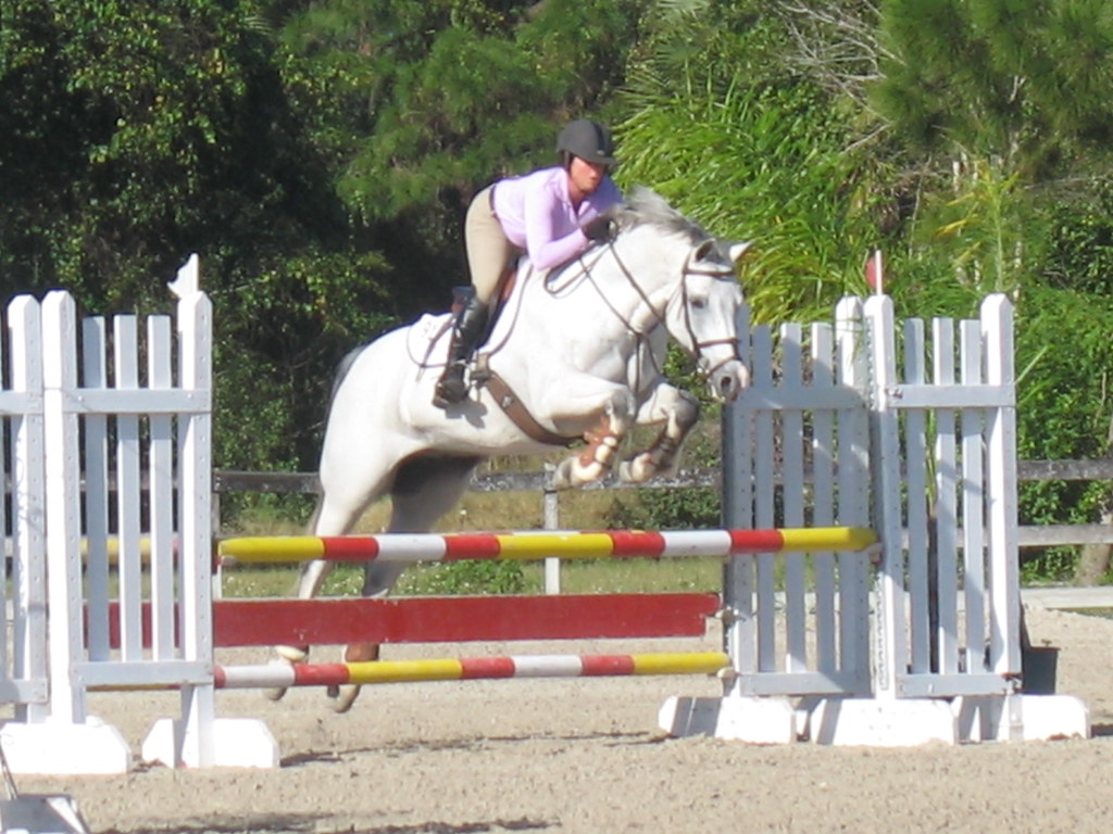Fox Lea Farm Horse Show, Venice, Florida 11.6.2011 Flickr