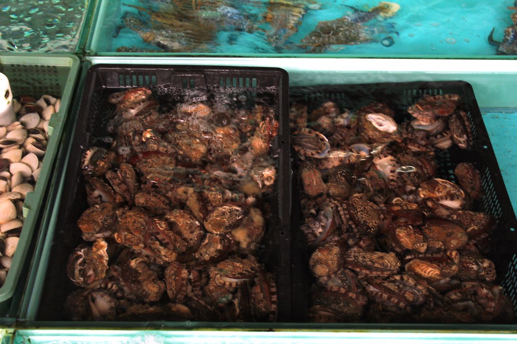 abalone Abalone is an edible mollusc. It is considered a d… Flickr