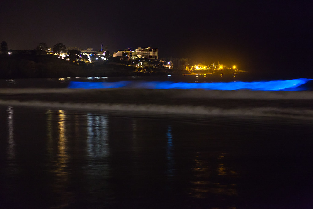 La Jolla and the Blue Waves La Jolla Shores Red Tide Biolu… Flickr