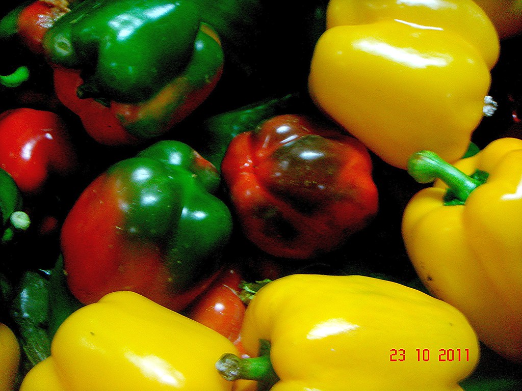 Capsicum annuum L. a photo on Flickriver