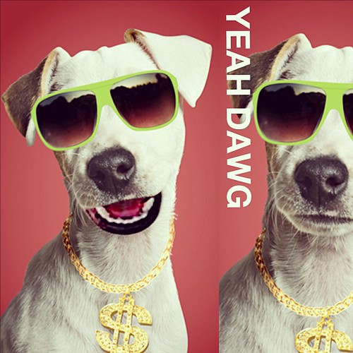 YEAH DAWG. dog puppy Geico yeahdawg Janus Saint Flickr