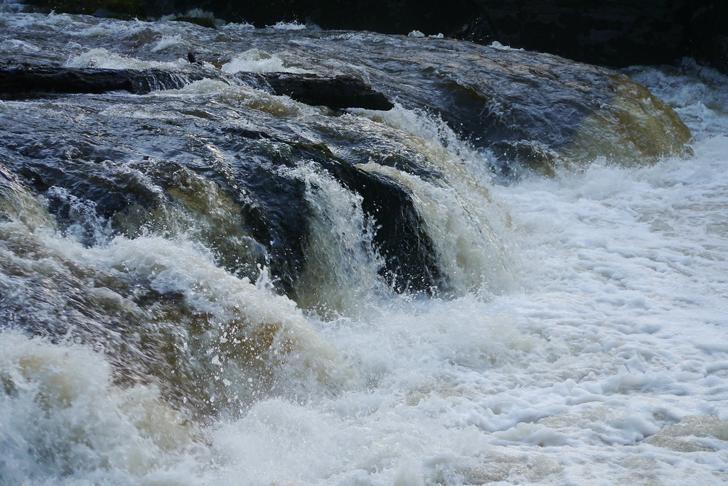 Falls Cenarth falls, no salmon leaping today Roger Flickr