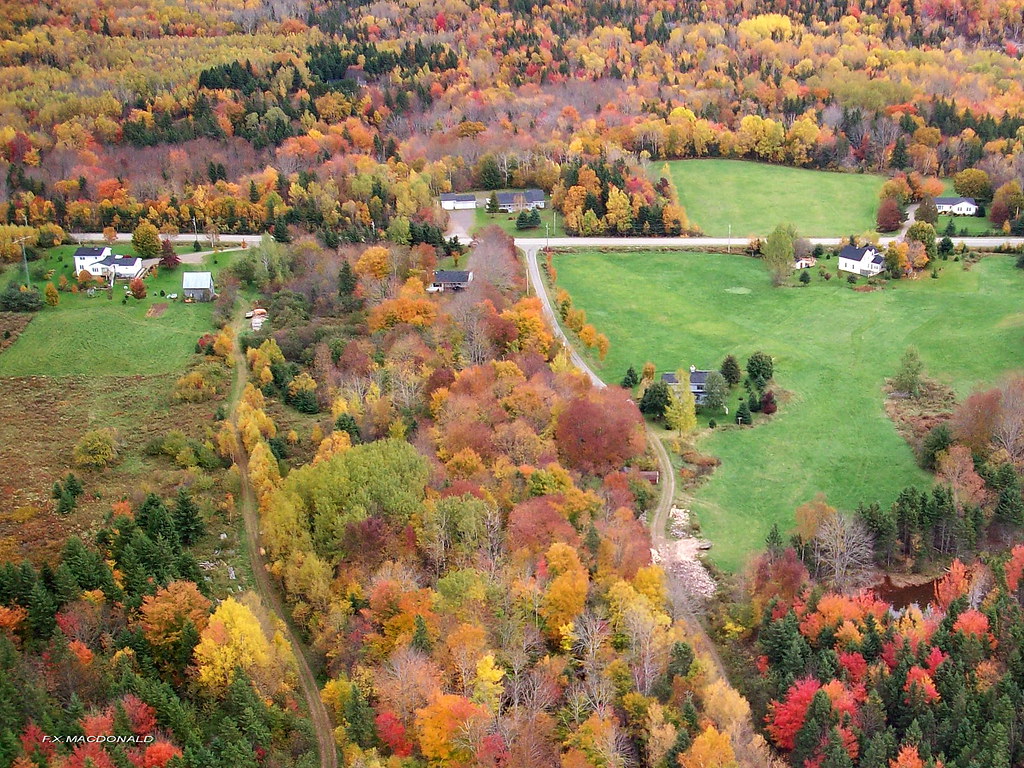 Autumn,Maryvale, Antigonish Co.,Nova Scotia F.X. (Frank) Mac Donald