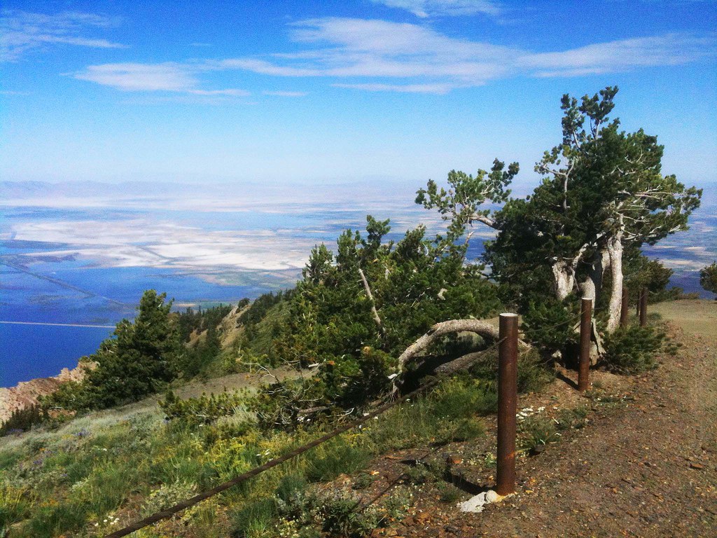 Willard Peak View looking North from Willard Peak. Tyler Waite Flickr