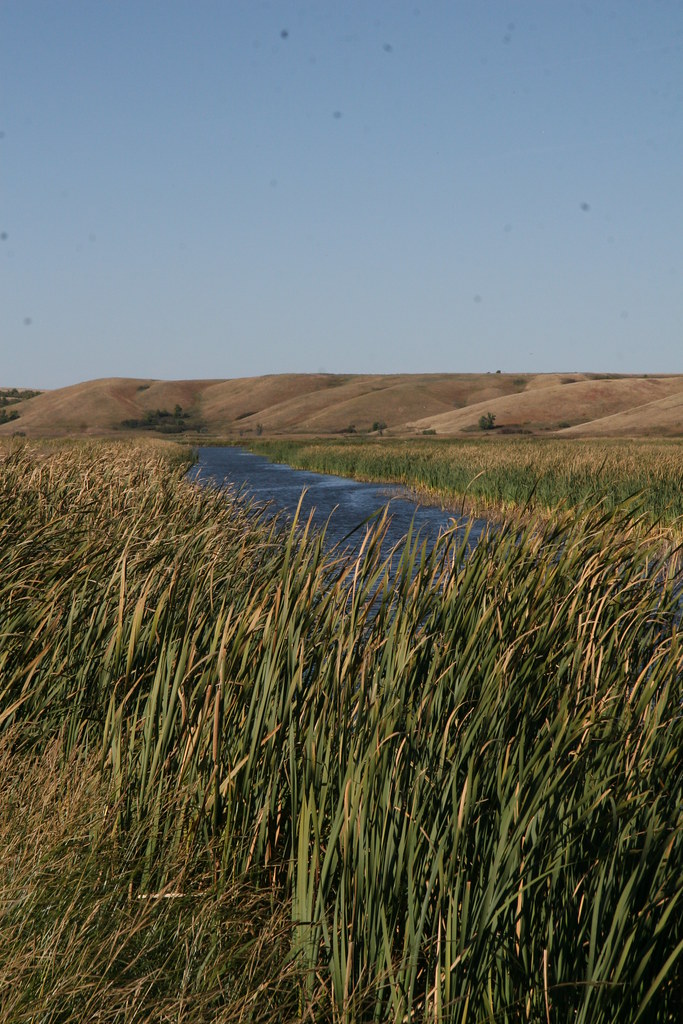 Fall Colors, Scenery & Wildlife on Des Lacs Refuge Flickr