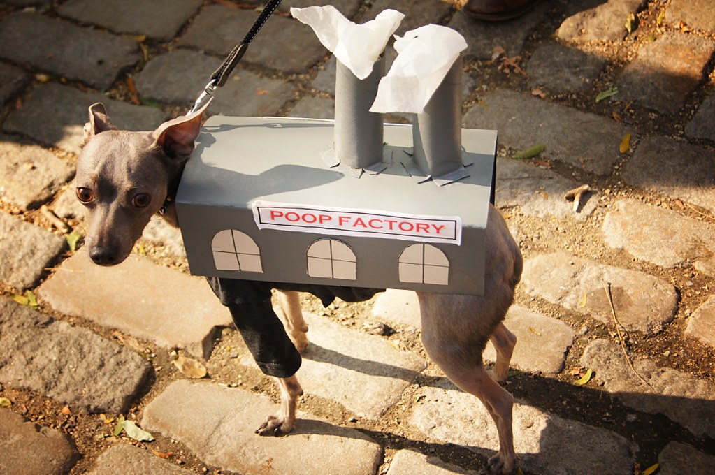 Poop Factory, Halloween Dog Parade 2011, Tompkins Square P… Flickr