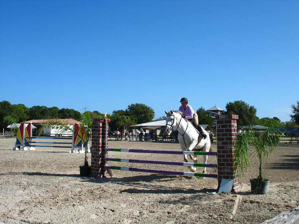 Fox Lea Farm Horse Show, Venice, Florida 11.6.2011 Flickr