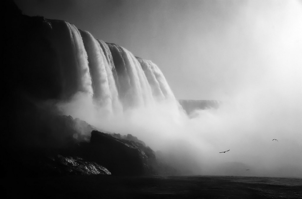 Horseshoe Falls This was one of the last photographs I sna… Flickr