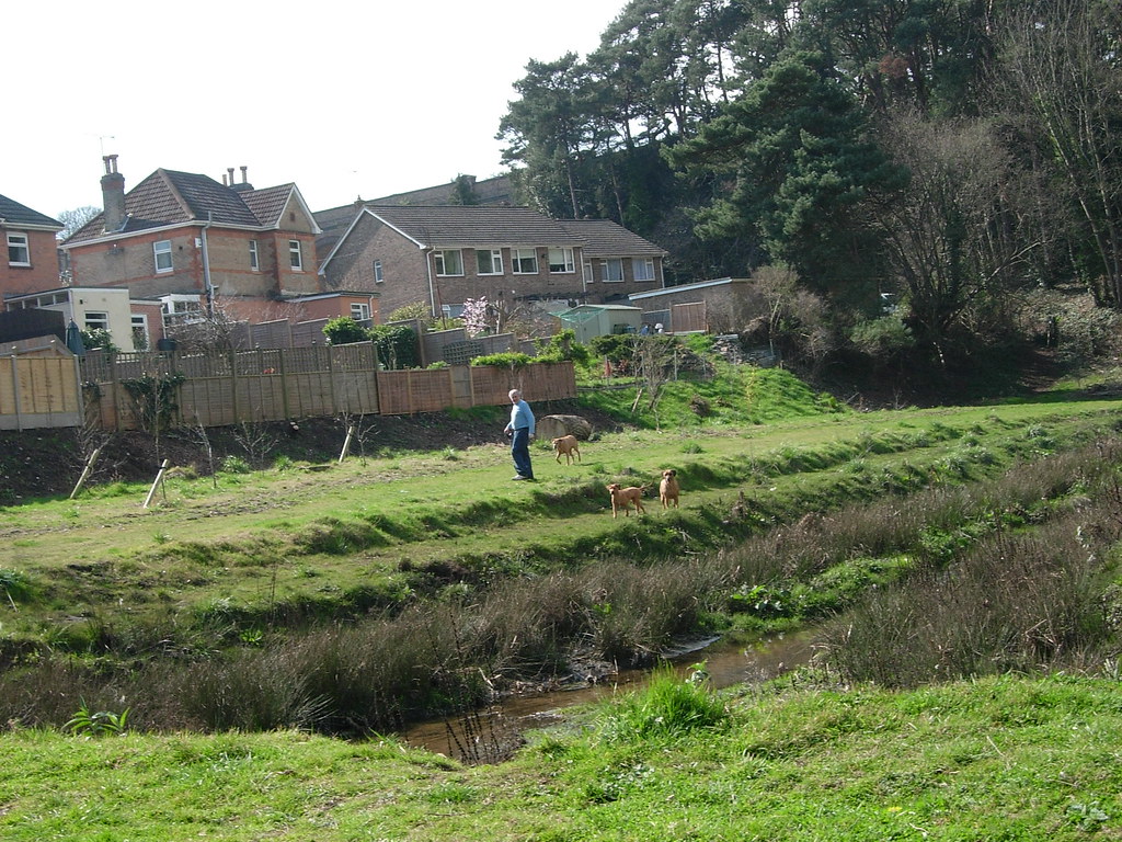 COY POND GARDENS. POOLE. DORSET. APRIL 2005 BOURNEMOUTH GRANT Flickr