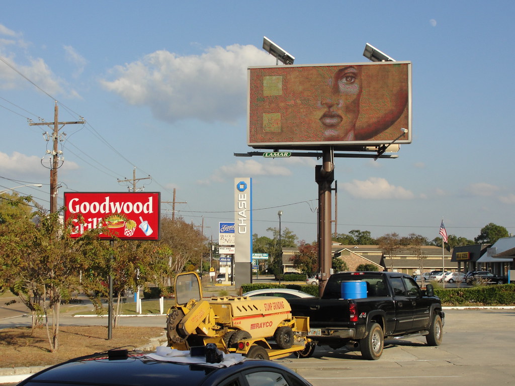 Baton Rouge Billboard Art Project D. LammieHanson (2) Flickr