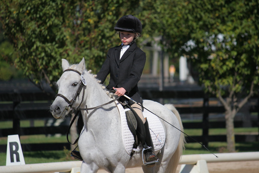 Silverwood Farm Dressage Show Camp Lake, WI, October 2, 20… Flickr