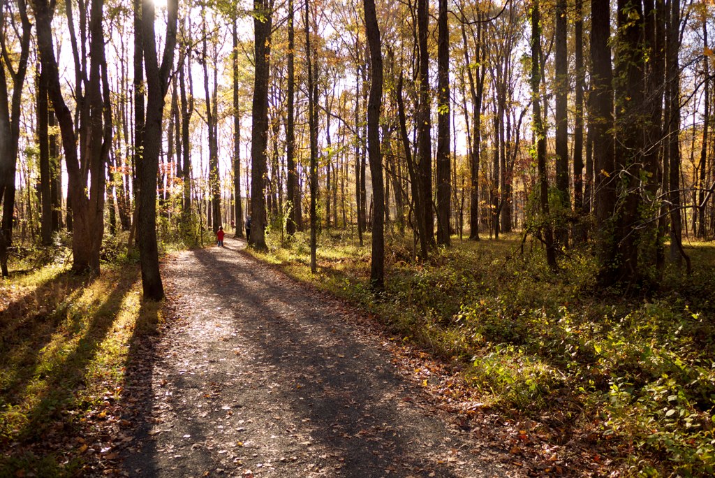 Huntley Meadows m43rds Flickr