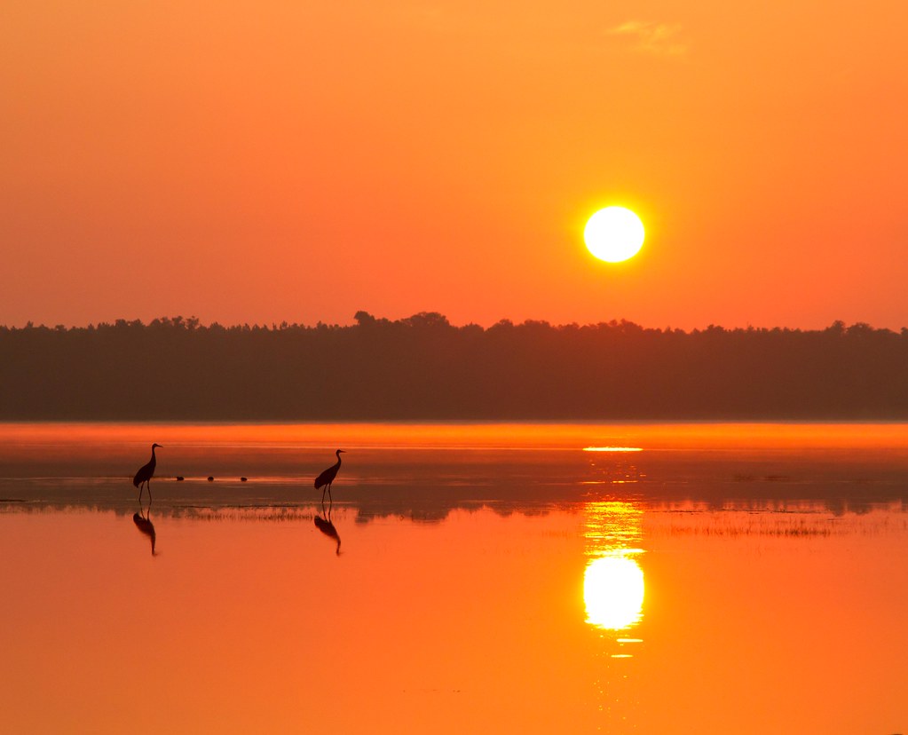 late september sunrise William Miller Flickr