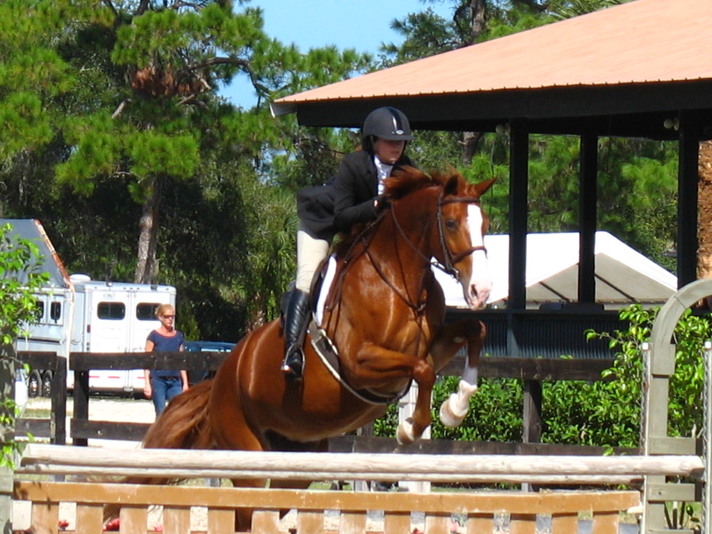 Fox Lea Farm Horse Show, Venice, Florida 11.6.2011 Flickr