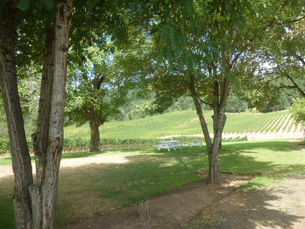 David Hill Winery David Hill Winery in Forest Grove, Orego… Flickr